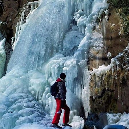 Appartamento La Hasel Oberhaslach Esterno foto